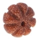 thumbnail image 4 of Cuentas para hacer joyas naturales, regalo DIY para collares, pulseras y pendientes., 4 of 6