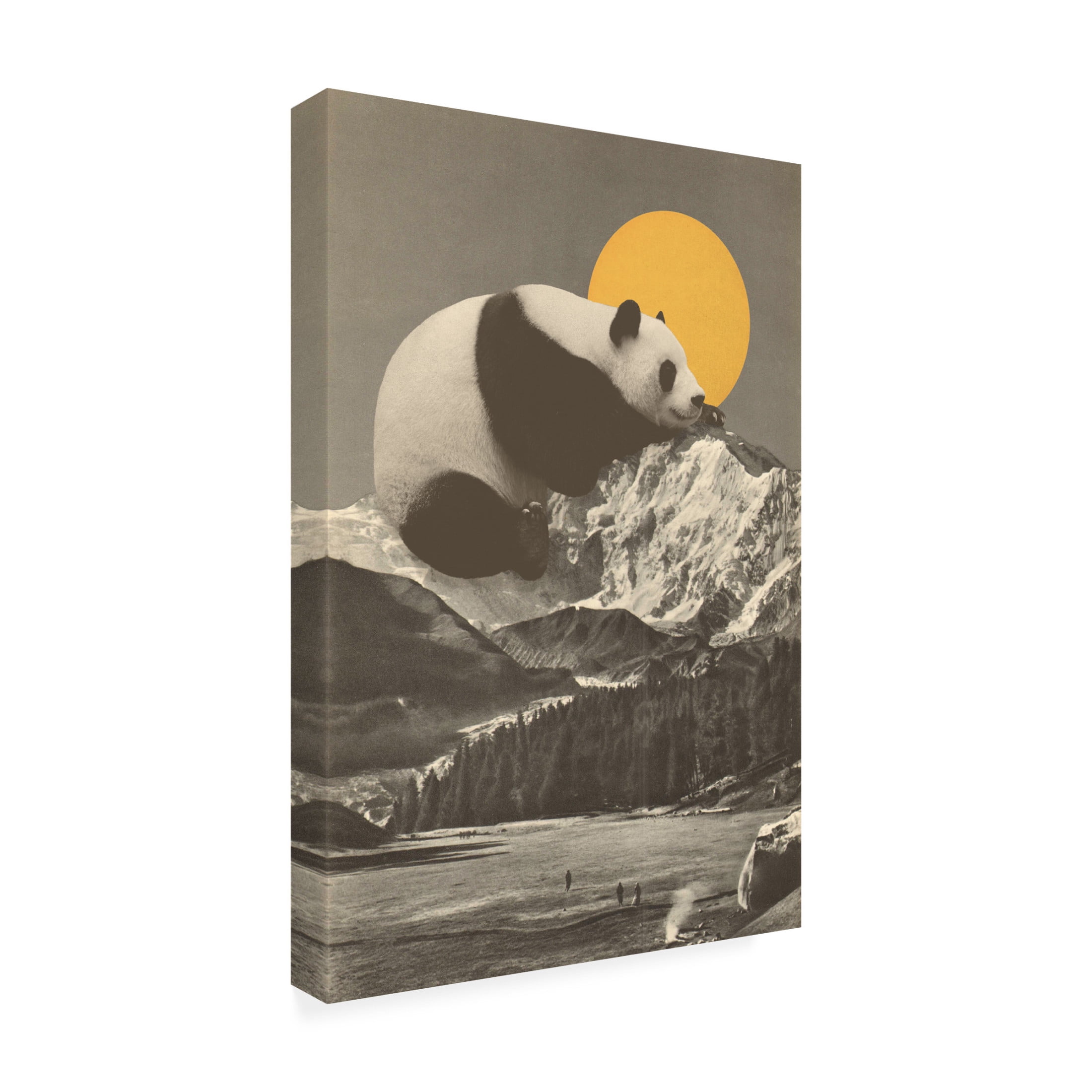 Trademark Fine Art Florent Bodart  Giant Panda Nap Canvas Wall Art