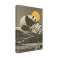 thumbnail image 4 of Trademark Fine Art Florent Bodart  Giant Panda Nap Canvas Wall Art, 4 of 4