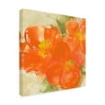 thumbnail image 2 of Chris Paschke 'Tangerine Poppies II' Canvas Art, 2 of 3