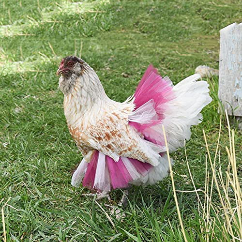 2 SUPER WIDE & LONG CHICKEN SADDLE APRON HEN FEATHER PROTECTION HATCHING EGGS 