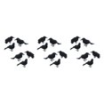thumbnail image 1 of Shengyu Halloween Party Decoration - Clear Texture And Festive Ambiance Simulation Crow Six piece set 3Set, 1 of 6