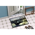 thumbnail image 2 of Carolines Treasures PTW2059JMAT Loon Country Door Mat Indoor Rug or Outdoor Welcome Mat 24x36 Doormat  36"L x 24"W, 2 of 4