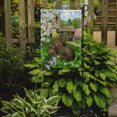 thumbnail image 2 of Carolines Treasures ASA2023GF Leveret Bunny Rabbit Flag Garden Size, 2 of 3