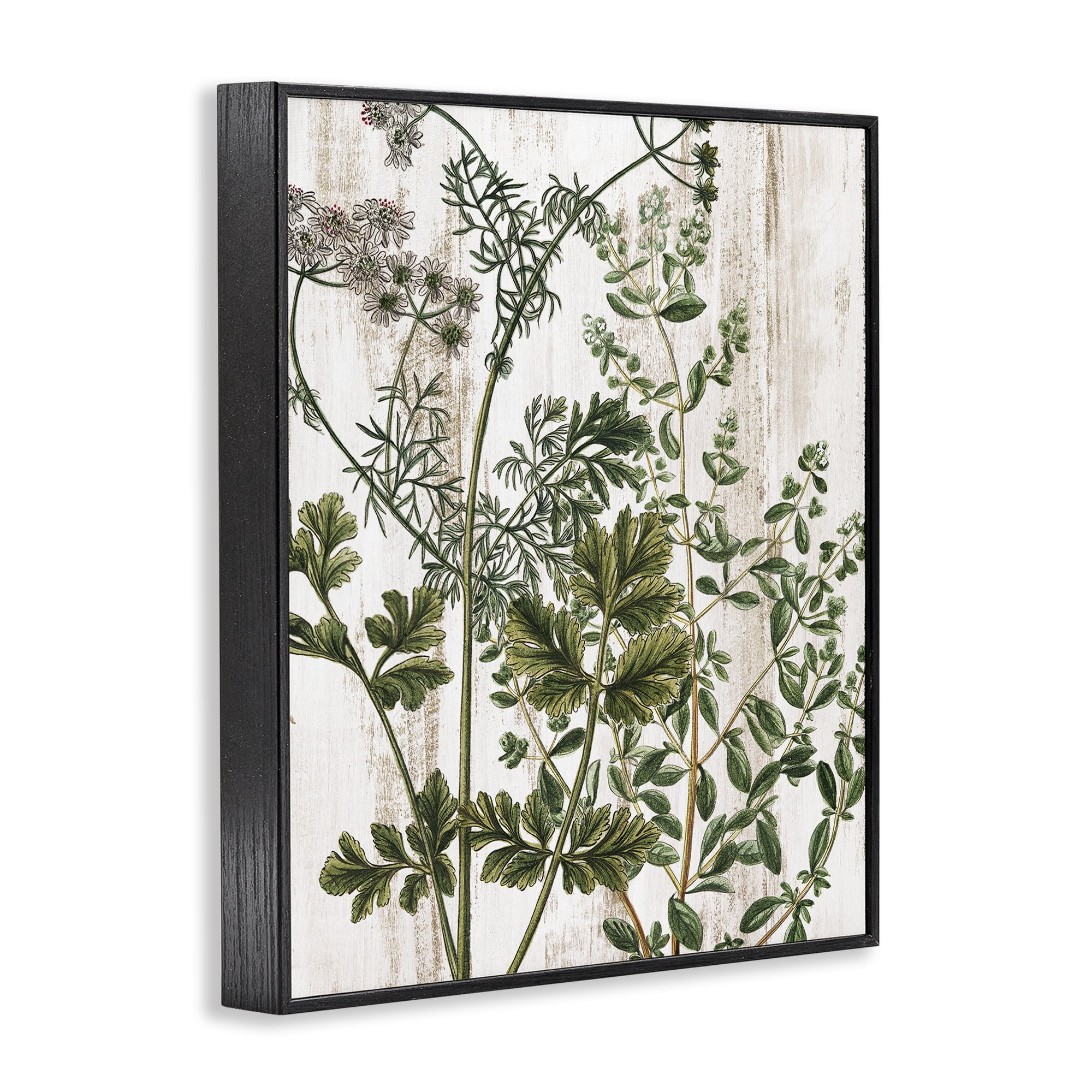 Stupell Industries Botanical Greenery Pattern Botanical & Floral Painting Black Framed Art Print Wall Art, 16 x 20