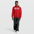 thumbnail image 3 of Men's Fanatics Red Wisconsin Badgers The Quad Stellar Excellence Pullover Hoodie, 3 of 3
