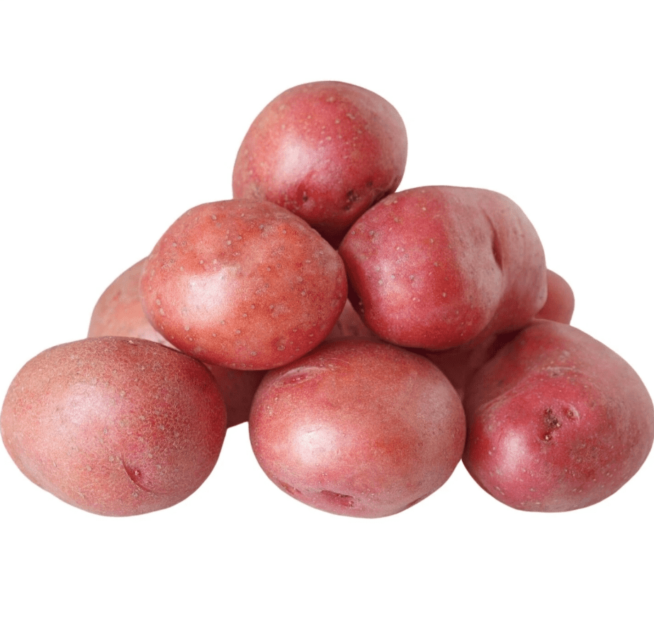 60 TPS True Potato Seeds Red Potatoes Seeds Potato Heirloom Vegetable Seeds for Growing, Tiny Seed