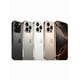 thumbnail image 3 of iPhone 16 Pro Max 256 GB Dorado eSIM Reacondicionado A+, 3 of 5