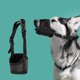 thumbnail image 4 of Bozal Suave De Malla Para Perros Bozal Transpirable Para Perros Grandes Anti-Mordeduras, Ladridos Y Mordiscos Bozal Sin Correa Ajustable Para Perros Pequeños, Medianos Y Grandes, 4 of 4