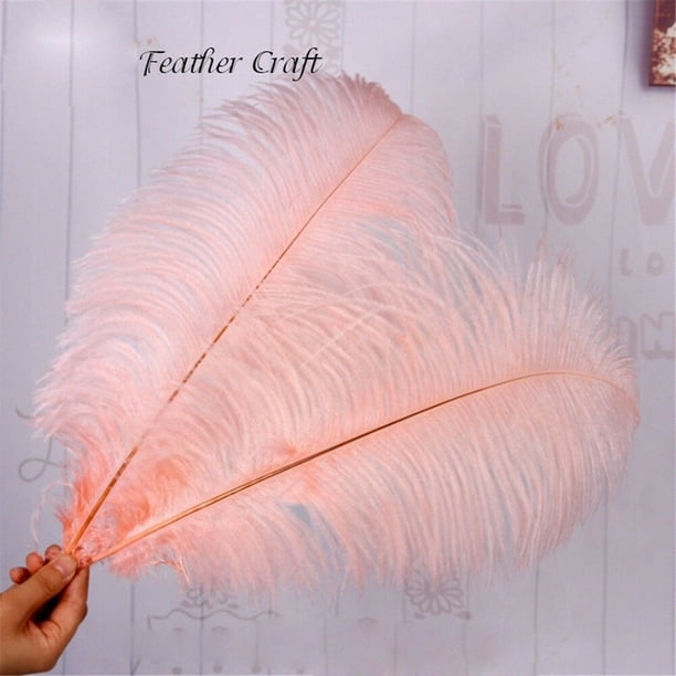 Wholesale Party &Wedding Decoration High Quality Fluffy Natural Ostrich  Feathers - China Feathers and Wholesale Ostrich Feathers price