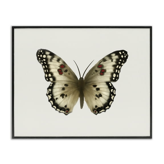 Stupell Industries Tan Symmetrical Butterfly Animals Painting Black Framed Art Print Wall Art, 14 x 11