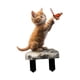 thumbnail image 1 of Estacas de jardín con motivo de gato hechas de acrílico, adornos planos 2D hechos de acrílico para caminos de jardín y áreas al aire libre, 1 of 6