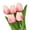 Light Pink, variant on Farfi 5Pcs Fake Flowers Nice-looking Attractive Charming Artificial Floral Tulip Fake Flowers Bouquets for Home (White)