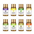 thumbnail image 3 of Del Aceite Esencial 5ml 10ml para El Difusor Del Coche Del Del Salón - Lavanda Macarena Aceite esencial de rosa para masajes, 3 of 8