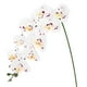 thumbnail image 1 of Uxcell 1-Pack Flores de Orquídea Artificial 9 Pétalos Grandes 37 Pulgadas Ramo de Seda Phalaenopsis Blanco Púrpura Orquídeas Falsas para Hogar/Boda, 1 of 1