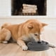 thumbnail image 3 of Comedero Outward Hound Mediano Gris Antivoracidad para Perros, 3 of 7