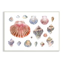Stupell Industries Nautical Shell Watercolor Study Patterned Aquatic Life Nature Painting Unframed Art Print Wall Art, 10 x 15