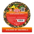 thumbnail image 2 of (2 pack) Audubon Park Spicy Snack Stack Wild Bird Food, Dry, 1 Count per Pack, 7 oz., 2 of 10