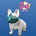 thumbnail image 2 of AMERTEER Adjustable Breathable Mesh Bulldog Muzzle for Biting Chewing Barking Training, 2 of 6