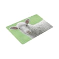 thumbnail image 3 of MKHERT Face of White Lamb Doormat Rug Home Decor Floor Mat Bath Mat 30x18 inch, 3 of 3