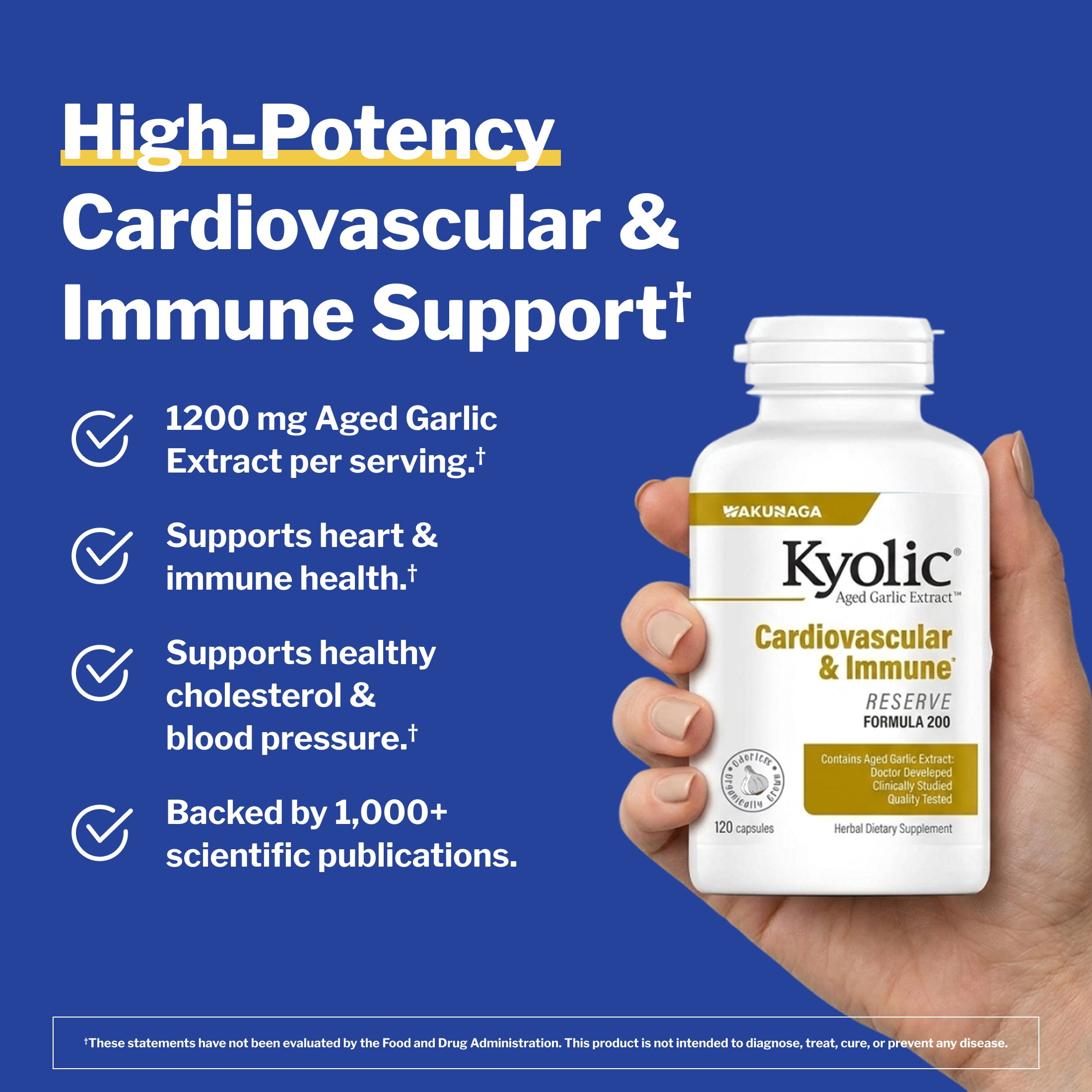 Kyolic Aged Garlic Extract Formula 200, Cardiovascular Immune, Reserve, 120 Capsules