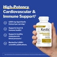 thumbnail image 3 of Kyolic Aged Garlic Extract Formula 200, Cardiovascular Immune, Reserve, 120 Capsules, 3 of 8