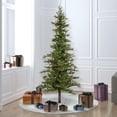 thumbnail image 4 of Vickerman 6' Shawnee Fir Artificial Christmas Tree, Multi-Colored Incandescent Dura-lit Lights, 4 of 4