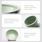 2 Extra Wide Elevated Ceramic Cat Food Bowls for Food Water 5 Inch Height 6.2 Inch Wide Shallow Whisker Fatigue Free Sage Green