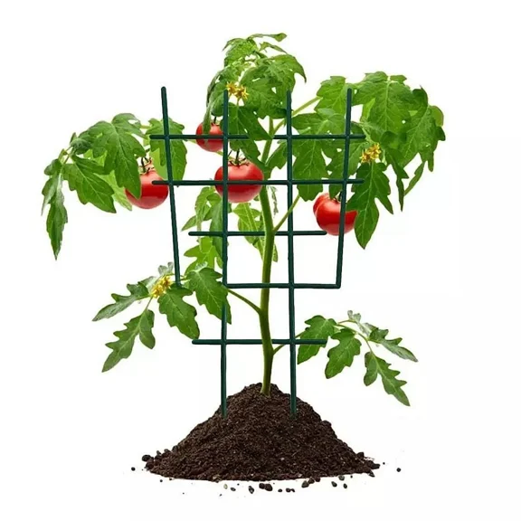 Mini Garden Trellis Vegetables Vine Pea Plants Support For Climbing Plants