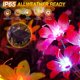 thumbnail image 4 of Flores Solar Lirio Floración 4pcs Led Impermeable, 4 of 9