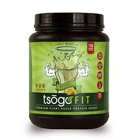 Sox Fiber - Tsogo Fit Protein Powder w/ 20 Grams of Plant Based Protein/Serving, Honey Flavor, Soy, Gluten and Dairy Free, High Fiber, Low Carb, Only 150 Calories/Serving (1 Tub, 20 Servings, 26.8oz | 760g)