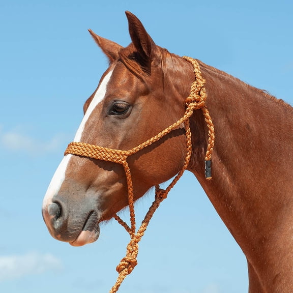 Cashel Flat Braid Halter and Leadrope, Copper