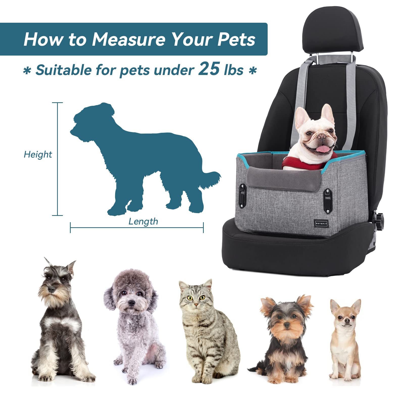 Siège Auto Rehausseur Pour Chien Petcozife – Mousse Mémoire De Forme, Jusqu'à 15 Kg, Lit Voyage Lavable Noir/Gris