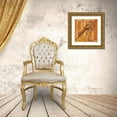thumbnail image 3 of Marrott, Stephanie 15x15 Gold Ornate Wood Framed with Double Matting Museum Art Print Titled - Pelican Head, 3 of 4