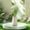 C, variant on Binwennn Fragrant Flowers 16 Inch Real And Imitation Leaves Imitation And Flower Buds Used For Home Decoration Center Decorations Wedding Bou Wisteria Lights Big Sunflowers Flowers Wedding Decorations