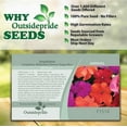 thumbnail image 2 of Outsidepride 200 Xtreme Tango Impatiens Flower Seeds, Low Maintenance, 2 of 5