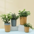 thumbnail image 4 of 10 Sets Plastic Flowerpots Small Rose Planter Succulent Plant Nursery Pots, 4 of 8