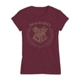 thumbnail image 1 of Playera Harry Potter Talla M Manga Corta Escudo Hogwarts Fit Normal Vino, 1 of 4