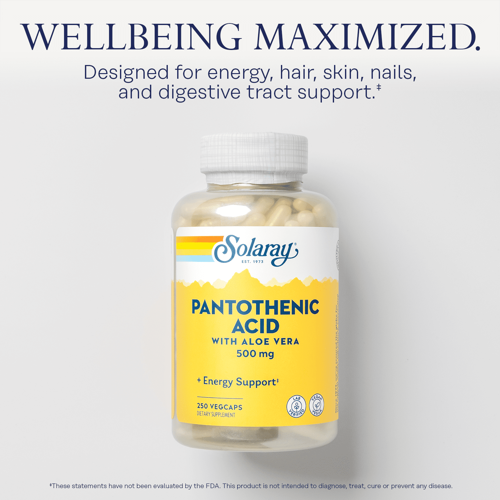 Solaray Pantothenic Acid 500mg | Vitamin B-5 for Coenzyme-A Production & Energy Metabolism | For Hair, Skin, Nails & Digestive Support | 250 VegCaps