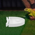 thumbnail image 4 of BESTYASH Plato Resistente Para Y Comida Para Terrarios De Reptiles Y Pequeños, 4 of 8