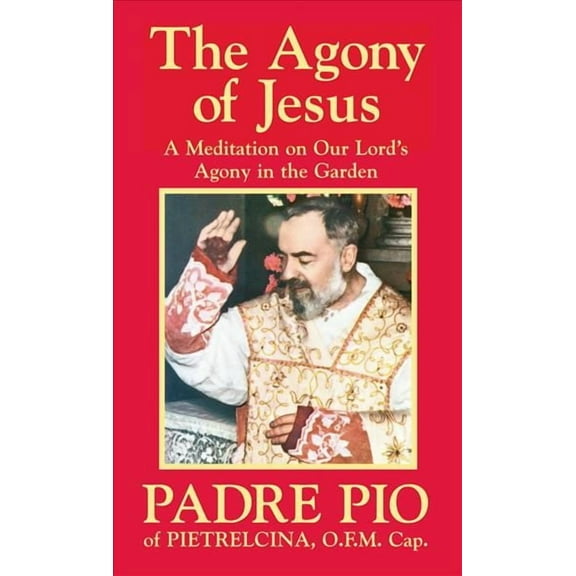The Agony of Jesus (Paperback)