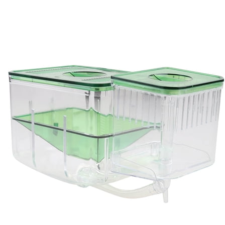 SEWOART Fish Hatching Boxes with Clear Acrylic and Isolated Compartments for Home Aquariums