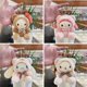 thumbnail image 2 of LLavero de felpa Kawaii Sanrio, colgante de mochila, Mymelody, Cinnamorroll, muñeco de peluche creativo, nuevo qiuyongming unisex, 2 of 2