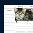 thumbnail image 3 of Lang, American Cat by Lowell Herrero 2025 Desk Pad, 3 of 4