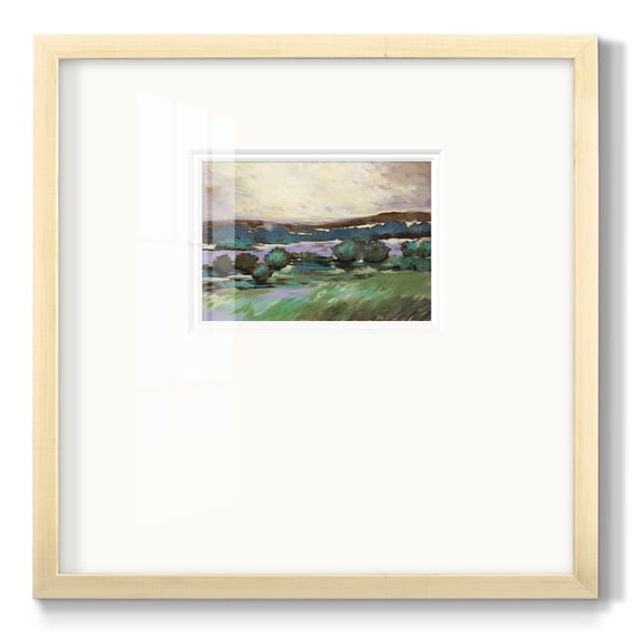 Sunny Desert FloorPremium Framed Print
