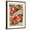 Brown Frame, variant on Art.com Seed Catalogues: John A. Salzer Seed Co. La Crosse, Wisconsin, Spring 1898 Art Print, 12" x 16"
