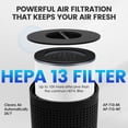 thumbnail image 4 of Filtro purificador de aire de repuesto JORAIR AP-T10FL, paquete de 2, 4 of 9