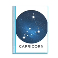 thumbnail image 1 of Capricorn Constellation Zodiac Sign Book Sheet Protectors Portfolio Binder Folder, 1 of 3