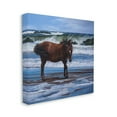 thumbnail image 4 of Stupell Industries Horse on Ocean Shore Animals & Insects Painting Gallery Wrapped Canvas Art Print Wall Art, 30 x 30, 4 of 8