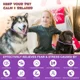 thumbnail image 5 of Collar Para Perro Tranquilizante Con Feromonas Lavanda, 5 of 8